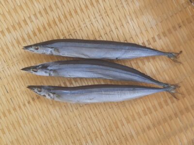 sanma-marubosi